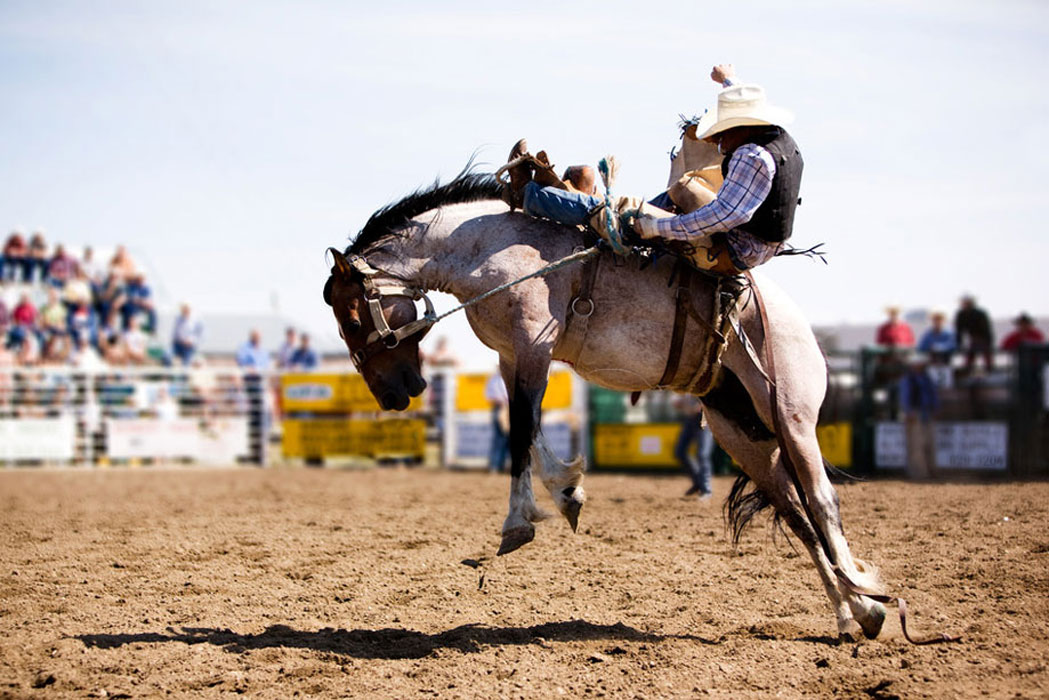 Estevan Rodeo